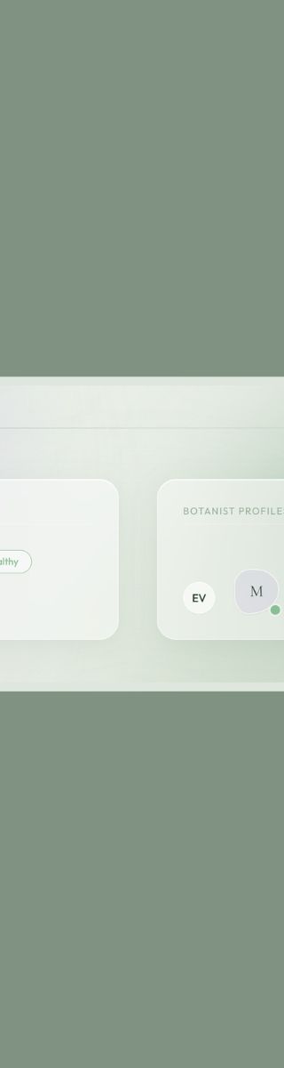 Ethereal Flora-Morphism – skärmbild 7